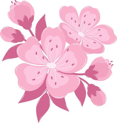 Cherry Blossom Flower Bouquet. Flat and Simple Pink Sakura.
