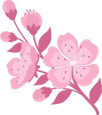 A Blooming Cherry Blossom Flower Branch. Flat and Simple Pink Sakura.