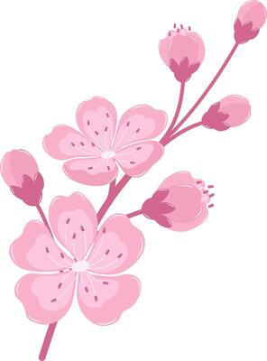 Cherry Blossom Flower Branch. Flat and Simple Pink Sakura.