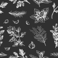 Hand drawn vintage sketch of culinary herbs seamless pattern in white on chalkboard background vector
