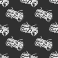 Hand drawn sketch of climbing rope seamless pattern in white color on chalkboard background vector