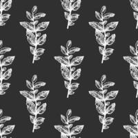 Hand drawn vintage sketch of mint herb seamless pattern in white color on chalkboard background vector