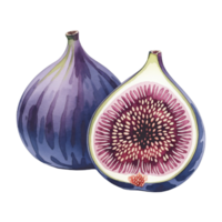 Two figs are depicted, one of which is whole and the other cut in half to reveal its intricate interior with seeds cutouts png