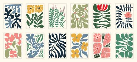 Leaf and foliage botanical illustration background set. vector