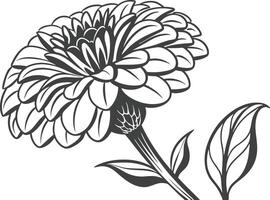 Zinnia Bloom Flower Set Design for Digital Crafts vector