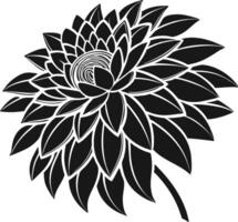 Elegant Dahlia Flower Design Set for Printing vector