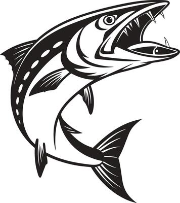 Black Barracuda Fish Silhouette Illustration