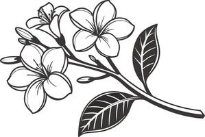 Gardenia Flower Set Design for Digital Crafts vector
