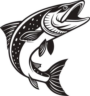 Pike Fish Silhouette Design Illustration