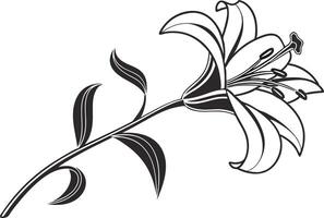 Elegant Lily Bloom Line Art vector