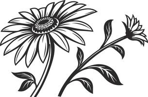 Botanical Sunflower Flower Drawing vector
