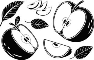 Apple Set Design for Graphic Projects vector