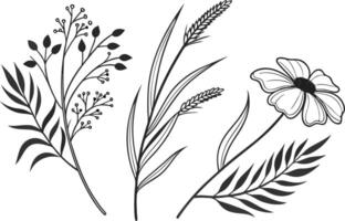 Botanical Silhouette Art Bundle in Boho Style vector