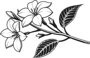 Gardenia Flower Set Design for Cricut and DIY Projects vector