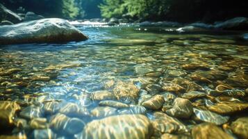 Clear river water flowing over stones in a forest setting. photo