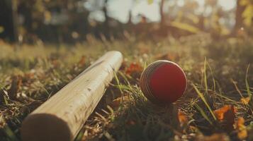 Wooden bat and ball on autumnal grass. photo