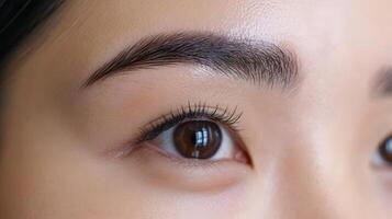 Close-up view of well-groomed eyebrows and eyes. photo