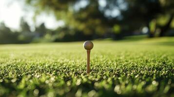 Close-up view of a golf tee in a lush green field. photo