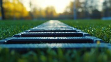 A linear walkway spans over lush green grass and a blurry background photo