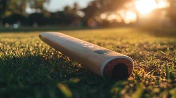 A wooden object rests on a grassy field during sunlight photo