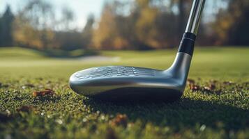 A golf club head rests on a grassy golf course landscape photo