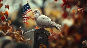 A white bird perched by a small american flag photo