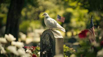 A white dove rests atop a headstone in a cemetery setting photo