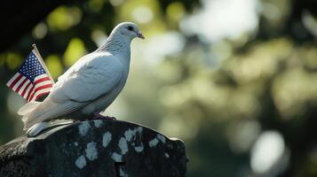 A white dove perched with a tiny flag on a tombstone photo