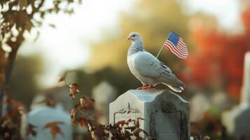 A white bird with a flag rests on a headstone photo