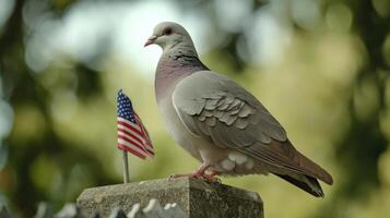 A pigeon perches with a miniature american flag in the scene photo