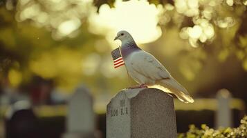 A white pigeon perched on a tombstone with a small flag photo