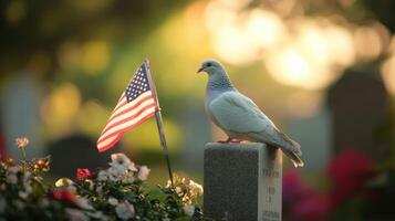 A white dove sits near an American flag in sunlight photo