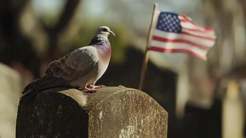 A pigeon sits atop a headstone near a waving American flag photo