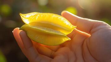 Fresh star fruit halves held in a hand, bathed in sunlight. photo