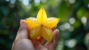 Close-up view of a star fruit held in a hand. e photo