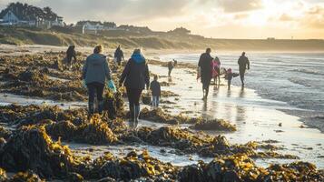 Coastal cleanup effort on a golden hour beach. photo