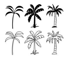 Tropical Palm Tree and Banana Tree Silhouette and Line Art Collection vector