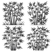 Silhouette Set of Lush botanical grove with slender bamboo stalks and peaceful foliage background vector