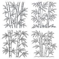 Elegant line art of bamboo grove set with segmented stalks and pointed leaf clusters vector