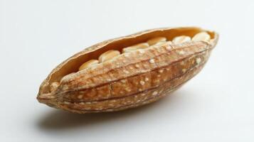 A macro photograph showing grains inside a natural seed pod photo