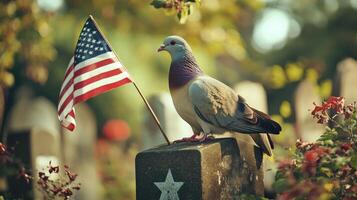 A pigeon stands near a small flag and headstones in a graveyard photo