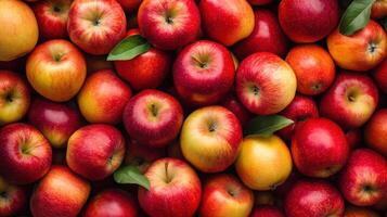 Close-up view of many fresh red and yellow apples. photo