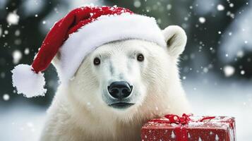 Polar bear in Santa hat with gift, a festive winter scene. photo