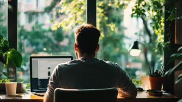 Sunlight streams into a home office, illuminating a man seated at a desk. photo