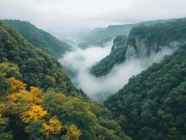 Fog-Shrouded Mountain Valley with Cliff Face and Autumnal Foliage photo