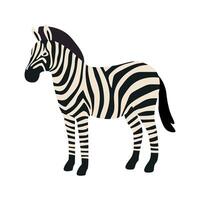 Cartoon zebra Standing in Profile View. Wild savannah animal vector