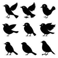 Set of Bird Silhouettes Flying and Standing Bird Icons in Black Style vector