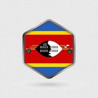 Eswatini flag icon in hexagon shape. vector