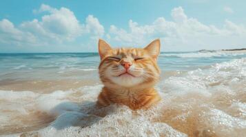 Orange Cat Enjoys Beach Waves, Sun, and Sea. Relaxing Ocean Vacation. photo