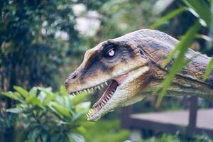 A close-up of a Velociraptor's head is one of the most common species, characterized by dexterity, slim build, and excellent sense of smell. photo